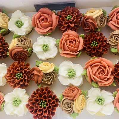 24 Mini Cupcakes