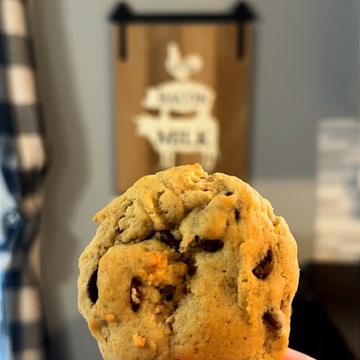 Sourdough Chocolate Chip Cookies 