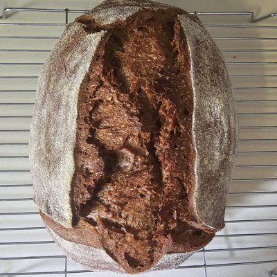 Pumpernickel (Dark Rye)