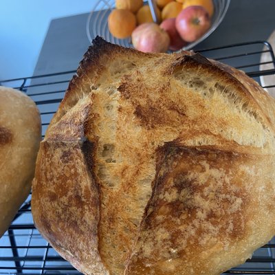 Sourdough Flavored - Italian/Cheese