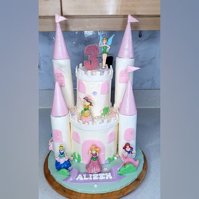 Disney Castle With Magical Princess 