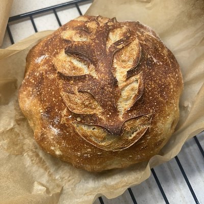 Plain Sourdough
