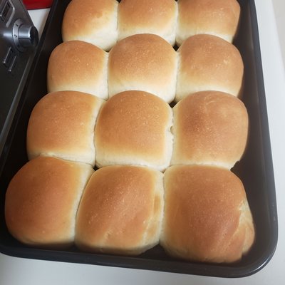 Dinner Rolls