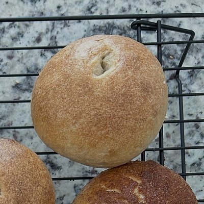 Plain Bagel