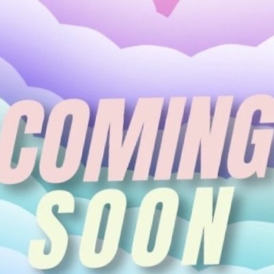 Cookie Butter Cheesecake 