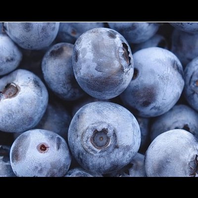 English Muffins- Blueberry 