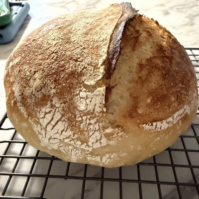 The Bread Lovers Bundle