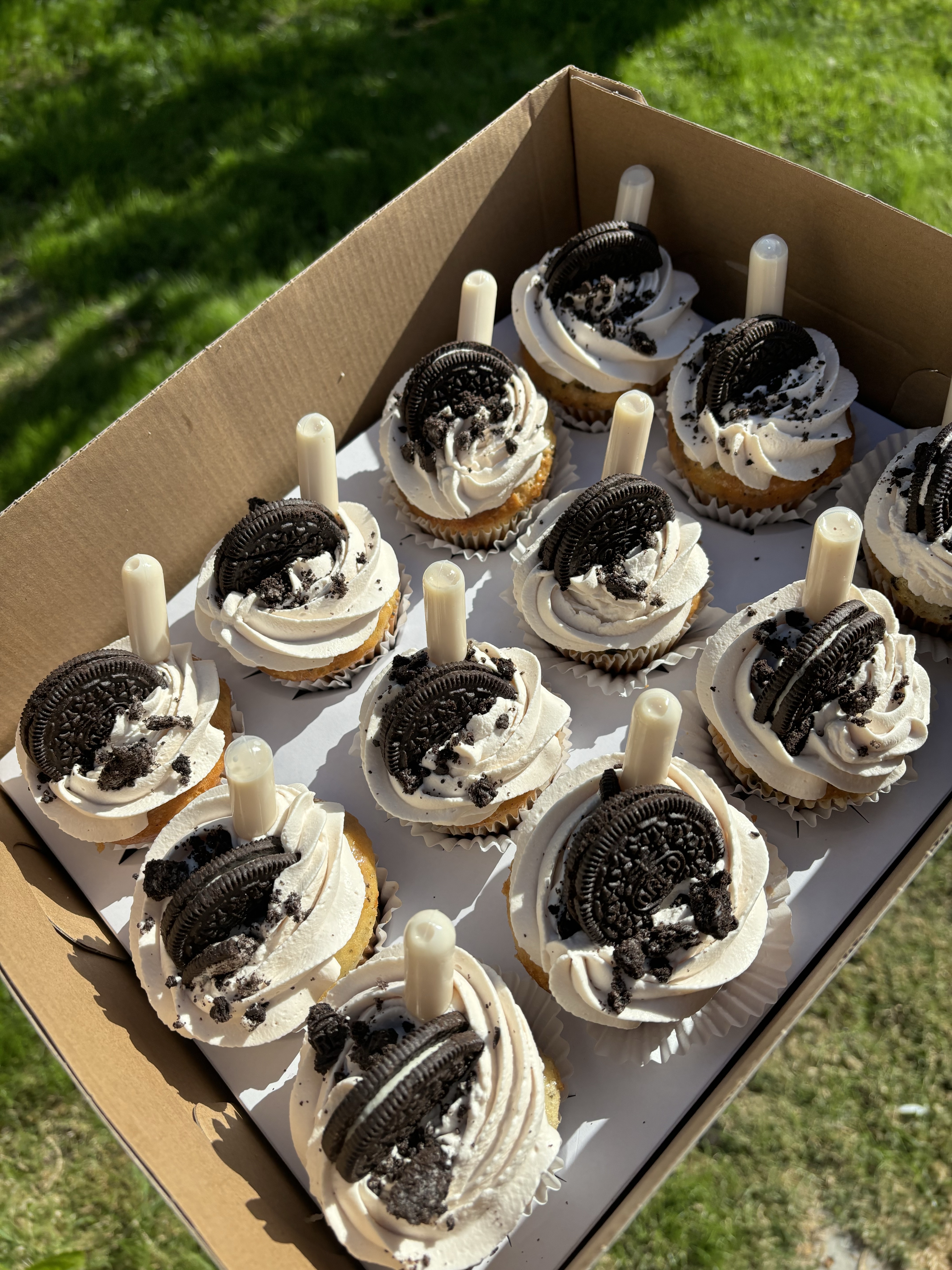 Dozen Cupcakes