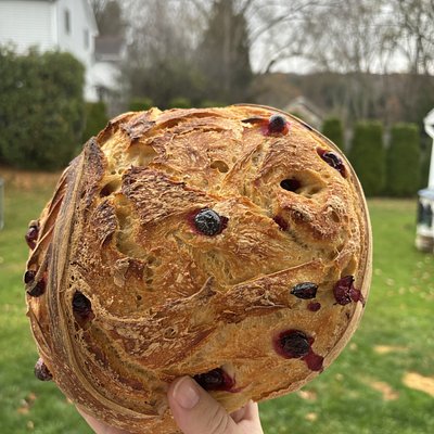 Orange Cranberry 