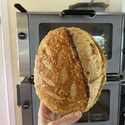 Medium-Sized Original Sourdough Loaf