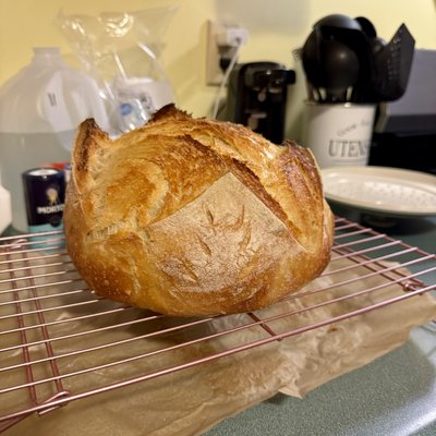Classic Boule