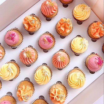 Custom Box of 12 Minis 