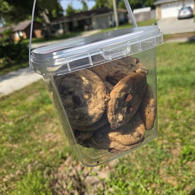 Bucket Of Chocolate Chip Cookies
