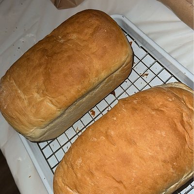Sandwich Bread