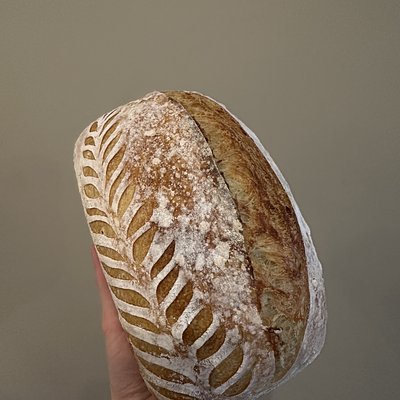Plain Sourdough