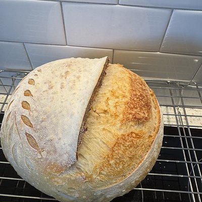 Artisan Sourdough Loaf 
