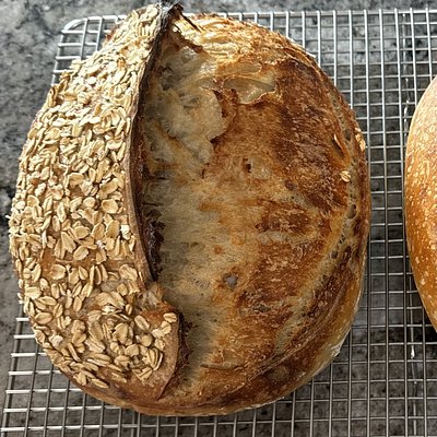 Honey Oat Sourdough