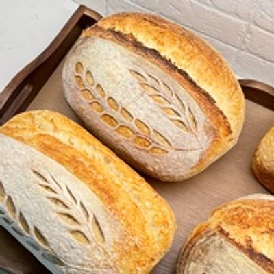 homesteadsourdough_ — photo from bakesy.shop