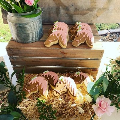 Custom Cookies 