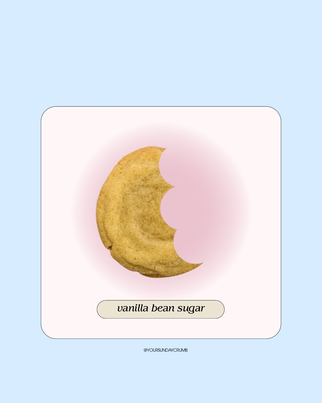 Vanilla Bean Sugar Cookies (1/2 dozen)