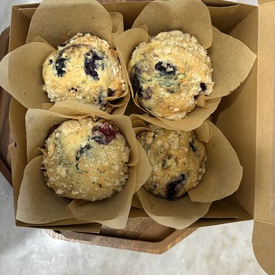4 Pack Sourdough Blueberry Muffins