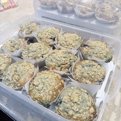 Sourdough Blueberry Lemon Muffins (5ct)