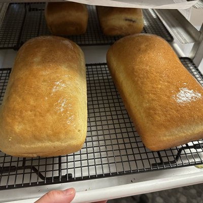 White Bread 