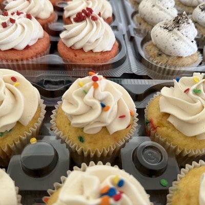 Cupcake Dozen (12)