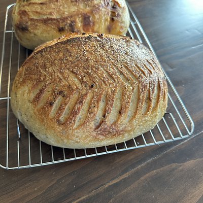 Garlic & Herb loaf