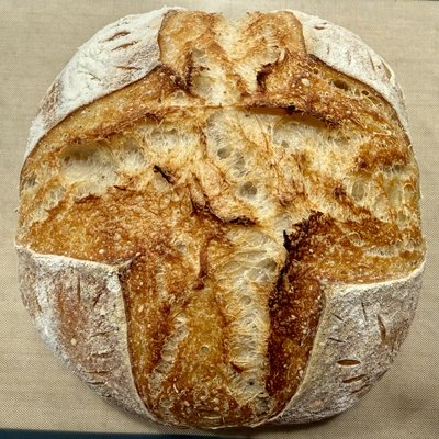 Sourdough Bread