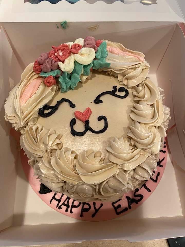 6 Inch Bake-a-cake 
