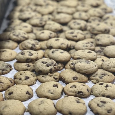 Mini Sourdough Chocolate Chip Cookies 