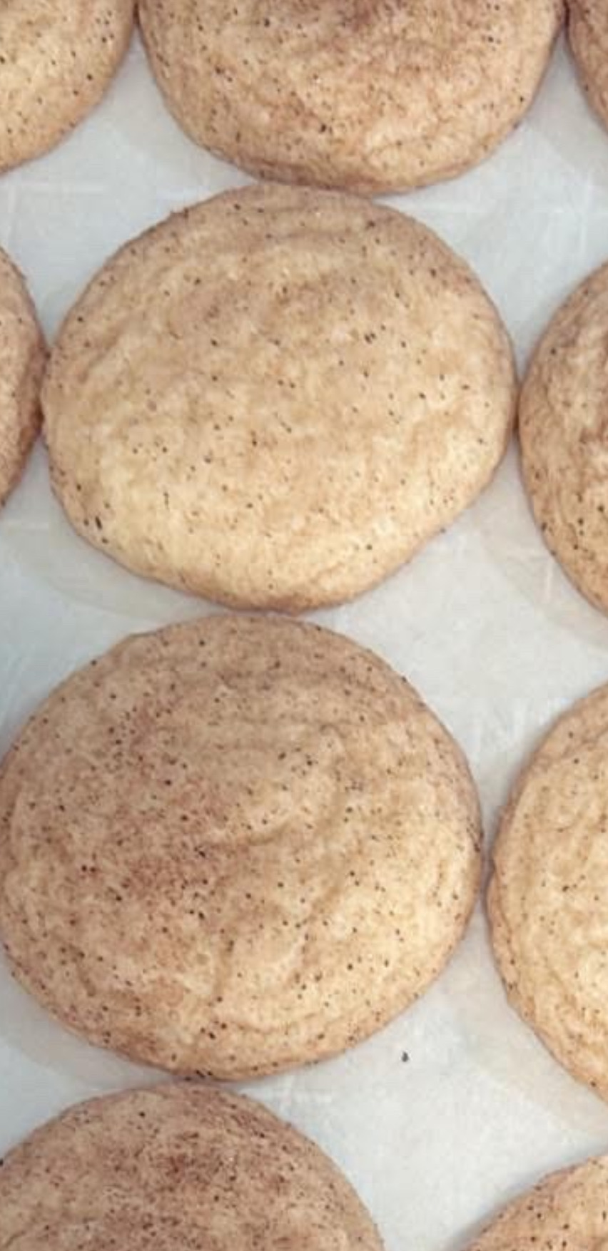 A Box Of A Dozen Giant (4in) Cookies - Snickerdoodle 