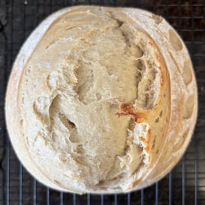 Sourdough 