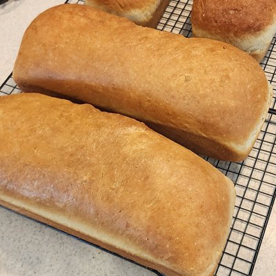 X-Large Sourdough Sandwich Bread 