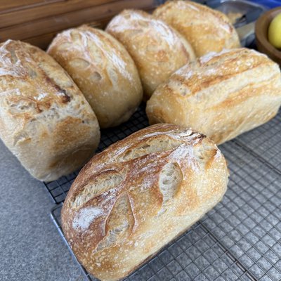 Classic Sourdough Loaf 