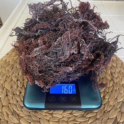 2 Oz Dry Purple Sea Moss