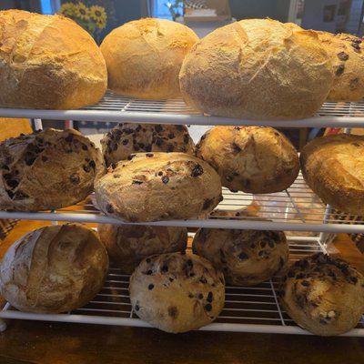 Plain Sourdough (large)