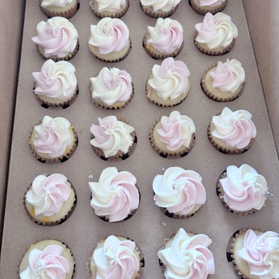 Mini Cupcakes