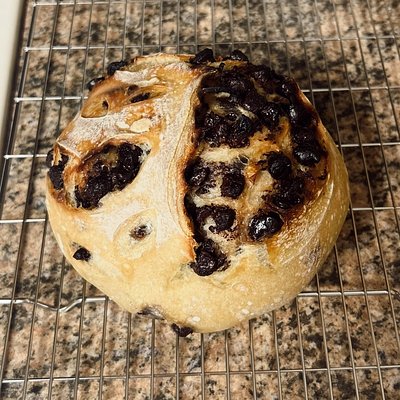 Chocolate Chip Sourdough Loaf