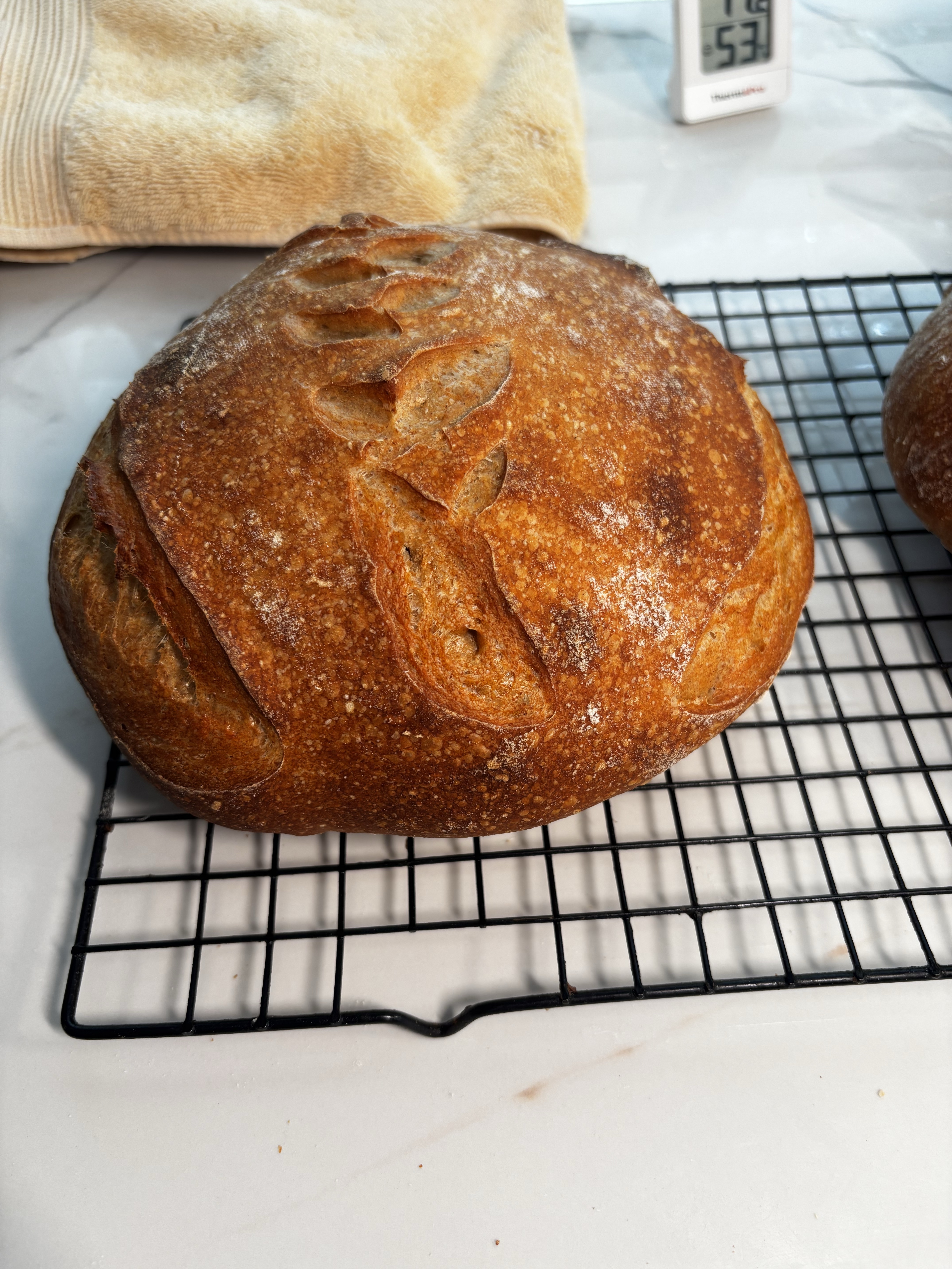 SweetLife Country Sourdough