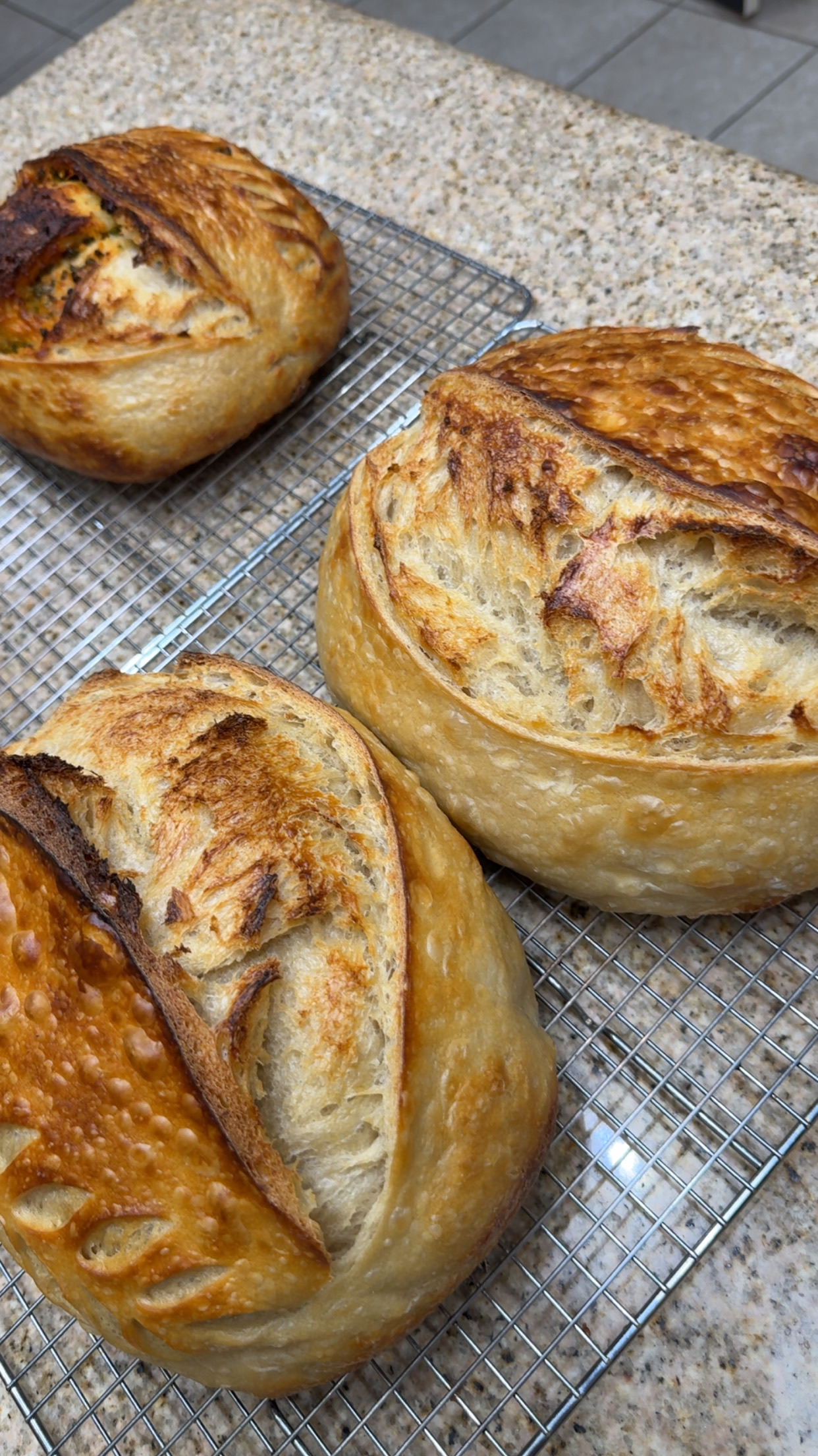 Classic Sourdough Loaf