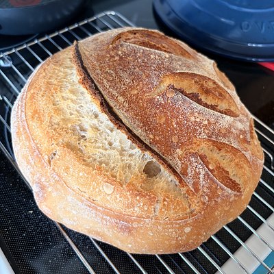 Sourdough Bread Loaf