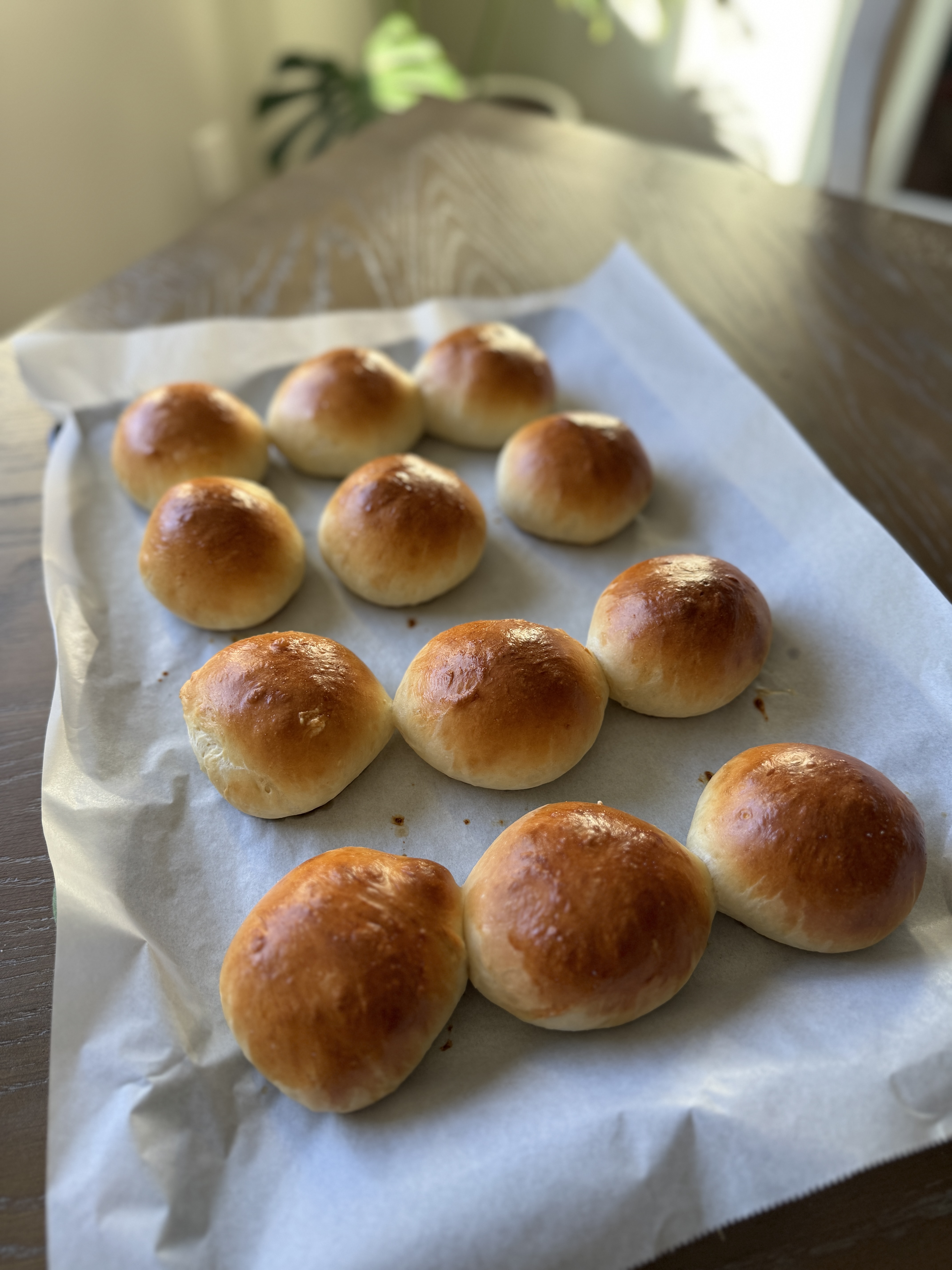 Dozen Sourdough Rolls 