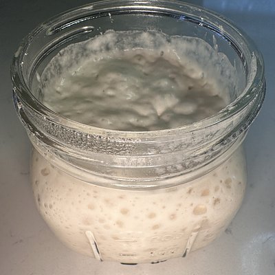 Gluten Free Sourdough Starter 