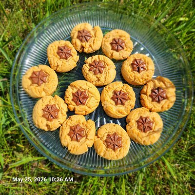 Peanut Butter Chocolate Star Cookies 