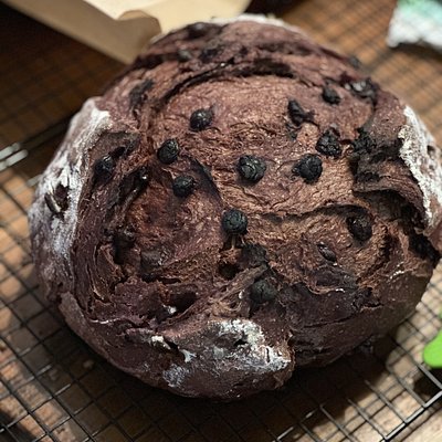 Double Chocolate Sourdough