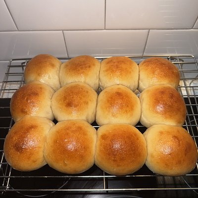 12 Sourdough Dinner Rolls 