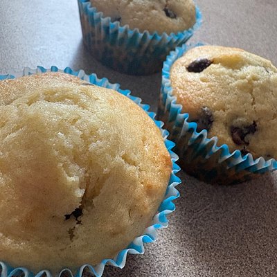 Sourdough Chocolate Chip Muffins