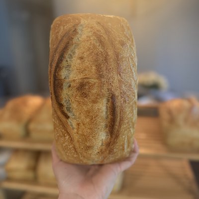 Plain EXTRA Sourdough Loaf 